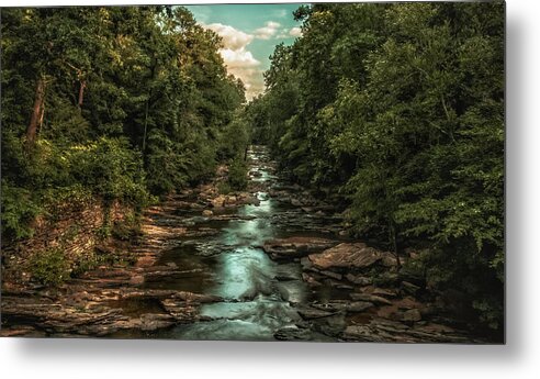 Water Metal Print featuring the photograph The Jungle by Mike Dunn