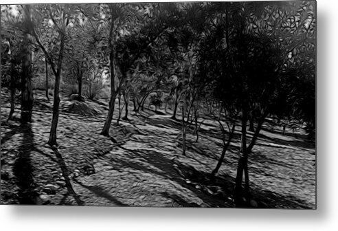 Path Metal Print featuring the photograph The Path In Abstract by Kristalin Davis by Kristalin Davis