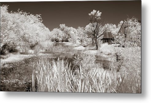 Slough Metal Print featuring the photograph The Slough in Sepia by James Barber
