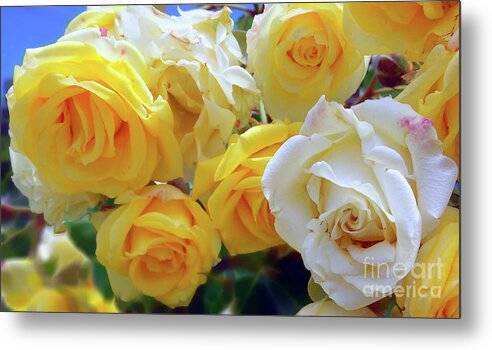 Roses Metal Print featuring the photograph The Yellow Splendor by Jasna Dragun