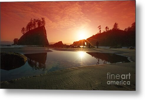Oregon Metal Print featuring the photograph Tidal Pool Reflection by Timothy Hacker