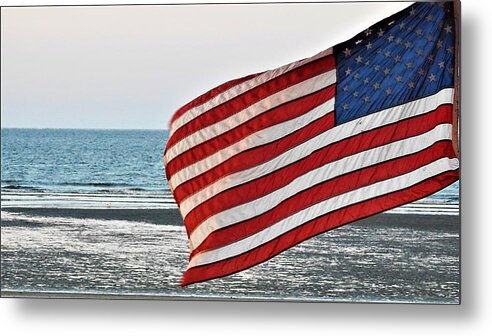 United States Of America Metal Print featuring the photograph To Shining Sea by Jan Gelders