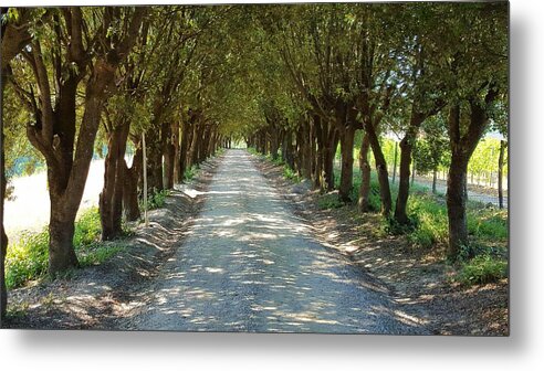 Tuscan Metal Print featuring the photograph Tree Tunnel by Valentino Visentini
