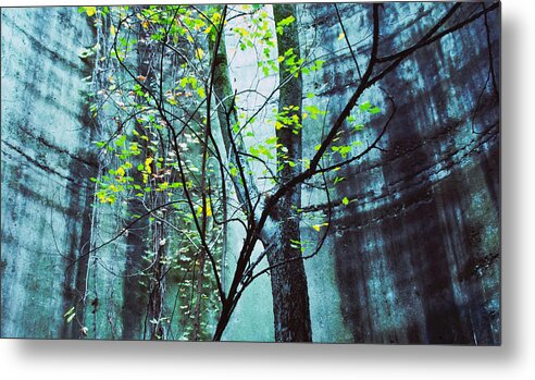 Landscape Metal Print featuring the photograph Trees Growing in Silo - Blu-Green Filter Wide Edition by Tony Grider