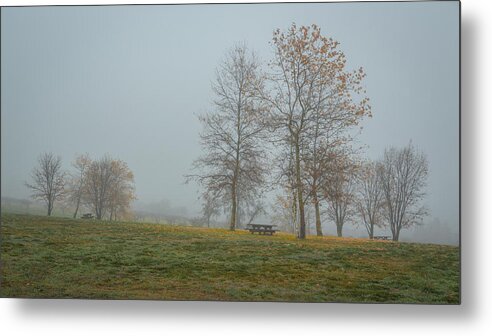 Fog Metal Print featuring the photograph Trees in the Park crop by Rick Strobaugh