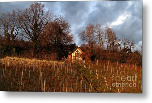 Vineyard House Metal Print featuring the photograph Vineyard House by Susanne Van Hulst