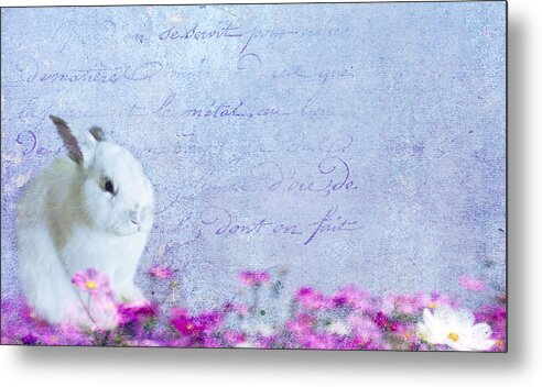 Bunny Metal Print featuring the photograph Waiting for Eggs by Rebecca Cozart