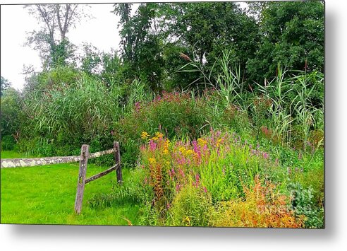 Wildflowers Metal Print featuring the photograph Wildflowers and Fence in Bridgewater by Dani McEvoy
