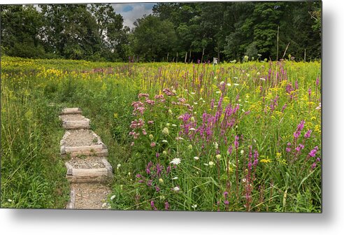 Wildflowers Metal Print featuring the photograph Wild Flowers by Bill Wakeley