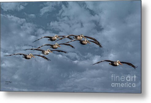 Birds Metal Print featuring the photograph Wings In Formation by DB Hayes
