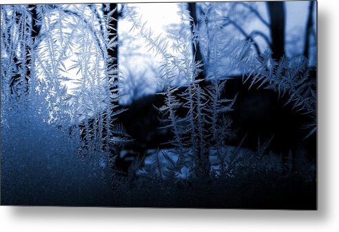Winter Metal Print featuring the photograph Wintertide by Danielle R T Haney