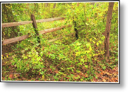 Wooden Fence Metal Print featuring the photograph Wooden Fence in Autumn by A Macarthur Gurmankin