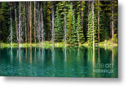 Canada Metal Print featuring the photograph Woodland Reflections by Lori Dobbs