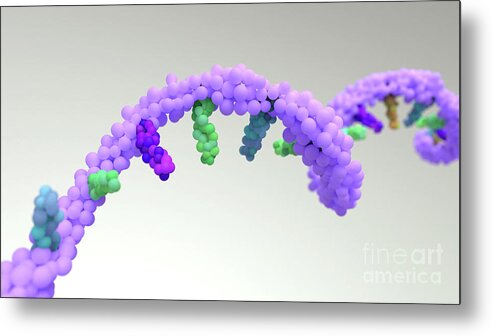 Artwork Metal Print featuring the photograph Rna Mutation #1 by Design Cells/science Photo Library