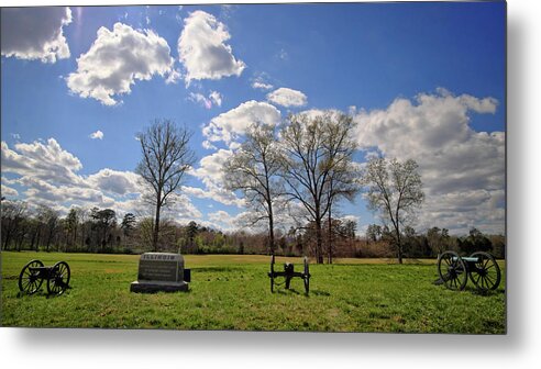 Spring Metal Print featuring the photograph The Illinois Monument #1 by George Taylor
