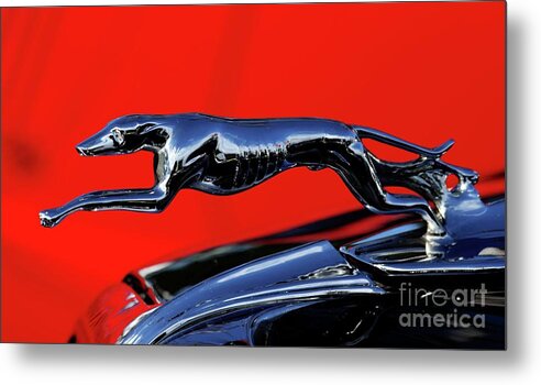 1934 Ford Hood Ornament Metal Print featuring the photograph 1934 Ford by Terri Brewster
