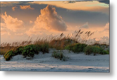 Golden Hour Metal Print featuring the photograph Before Sunset by Kevin Senter