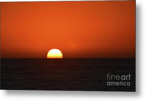 Sunset Metal Print featuring the photograph Birds Flying Over The Sunset by Aicy Karbstein