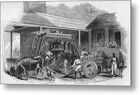 Farm Worker Metal Print featuring the photograph Brazilian Sugar Mill by Hulton Archive