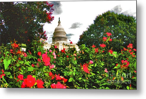 Capitol Metal Print featuring the photograph Capitol West Summer - Impression by Steve Ember