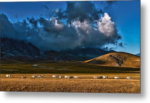 Clouds Metal Print featuring the photograph Cows On The Run by Eden Antho