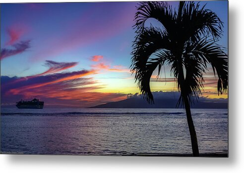 Hawaii Metal Print featuring the photograph Cruising by G Lamar Yancy