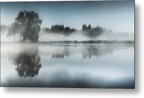Mist Metal Print featuring the photograph Foggy Day by Ulrike Eisenmann