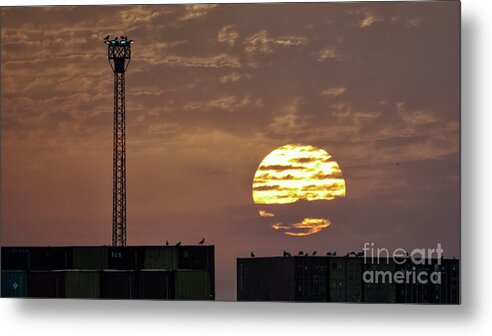 Bright Metal Print featuring the photograph Giant Sun at Sunrise Cadiz Harbour by Pablo Avanzini