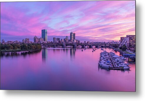 Boston Metal Print featuring the photograph In The Pink by Rob Davies