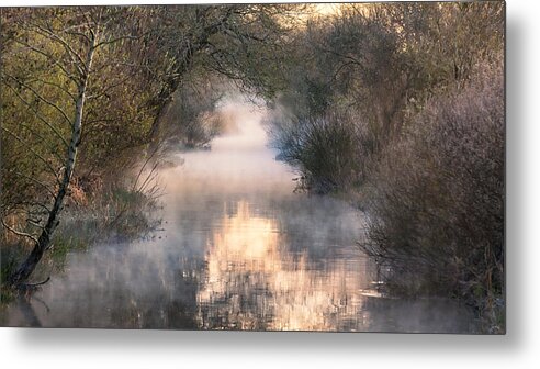 Fog Metal Print featuring the photograph Into The Fog. by Leif Lndal