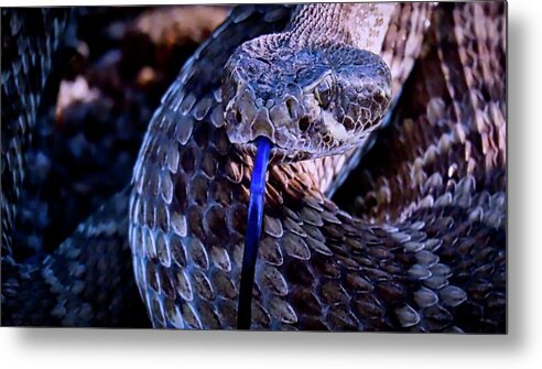 Affordable Metal Print featuring the photograph Mojave by Judy Kennedy