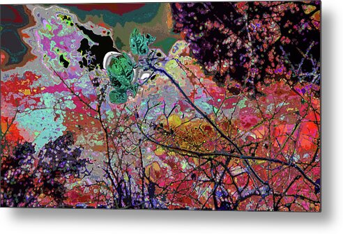 Nature Fantasy Metal Print featuring the photograph Nature Fantasy by Kenneth James