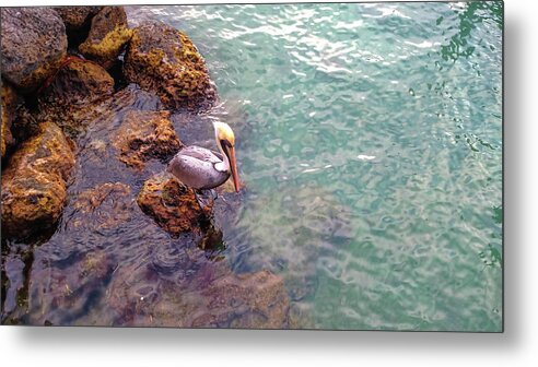 A&b Metal Print featuring the photograph Ocean Watcher by JAMART Photography