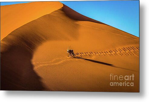 Dune Metal Print featuring the photograph Oryx crossing big daddy dune, Sossusvlei, Namibia by Lyl Dil Creations