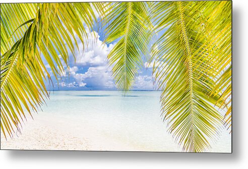 Landscape Metal Print featuring the photograph Palm And Sea With Sky. Tropical Beach by Levente Bodo