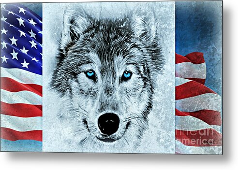 Patriotic Wolf Metal Print featuring the drawing Patriotic Wolf by Andrew Read