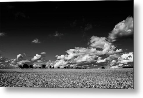Black-and-white Metal Print featuring the photograph Paysage by Jorg Becker