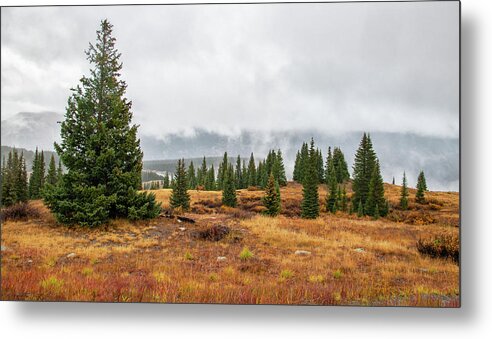 Colorado Metal Print featuring the photograph Rainy Day at Molas Pass by Gordon Ripley