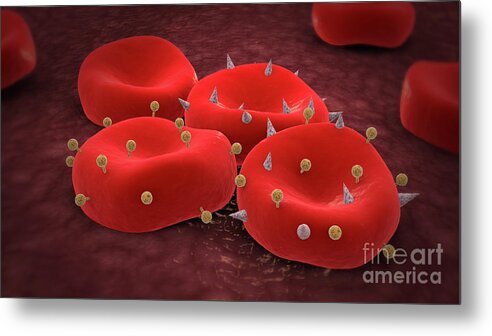 Illustration Metal Print featuring the digital art Red blood cells with antigens. by Stocktrek Images