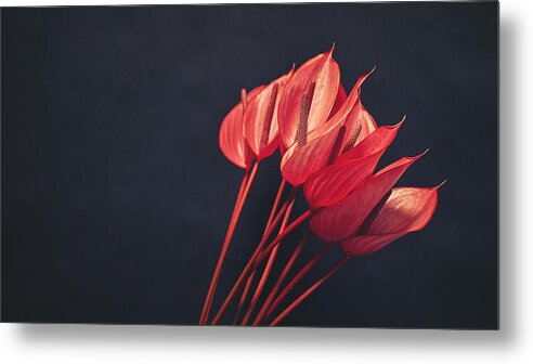 Flower Metal Print featuring the photograph Red Flowers by Lech Radecki