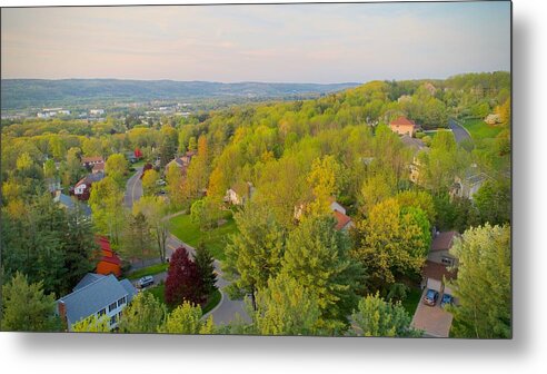 Spring Metal Print featuring the photograph S P R I N G by Anthony Giammarino