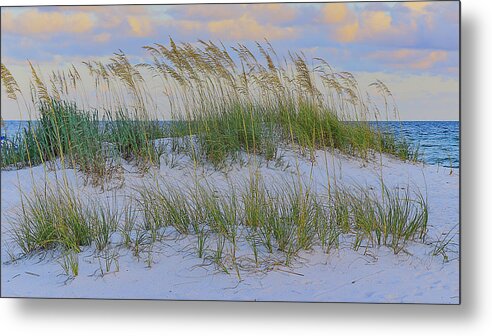 White Sand Metal Print featuring the photograph Snowy Dune by Kevin Senter