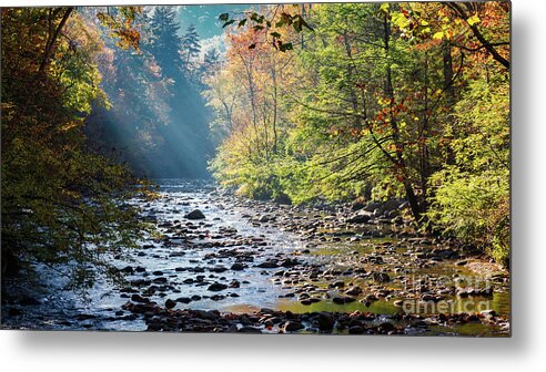 Smokey Mountains Metal Print featuring the photograph Sunrise In The Heart Of The Smokey Mountains by Doug Sturgess