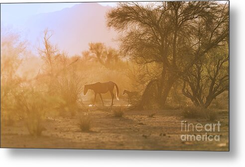 Cute Metal Print featuring the photograph Sunrise Walk by Shannon Hastings