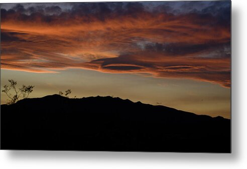 Sunset Metal Print featuring the photograph Sunset at Joshua Tree National Park by Ron Biedenbach