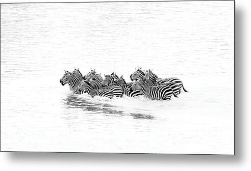 Kenya Metal Print featuring the photograph The Art Of Crossing ( Great Migration ) by Jennifer Lu