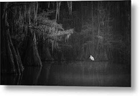 Lake Metal Print featuring the photograph The Morning Time At Caddle Lake by Dennis Zhang