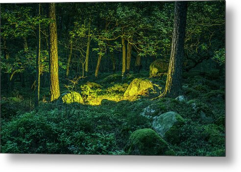 Sweden Metal Print featuring the photograph The Well by Daniel Grizelj