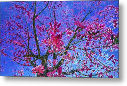 Tree Of Passion - Fuel My Soul Metal Print featuring the photograph peek into the Tree Of Passion - Fuel My Soul v7 by Kenneth James