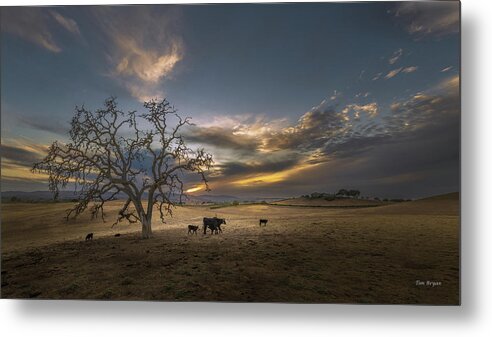 Sky Metal Print featuring the photograph Under a Far Western Sky by Tim Bryan